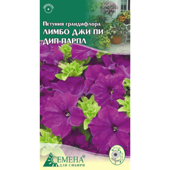 Семена петунии Лимбо Джи Пи Дип Парпл F1 Семена для Сибири