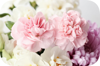 Поднос Гвоздики пластик 33х24,5 см