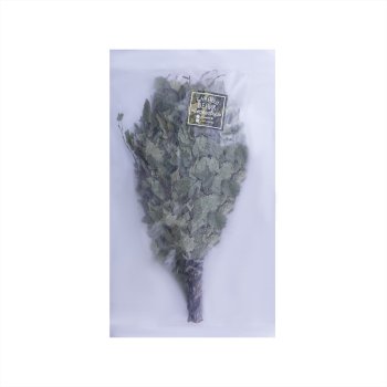 Веник банный березовый, Дуб Веник