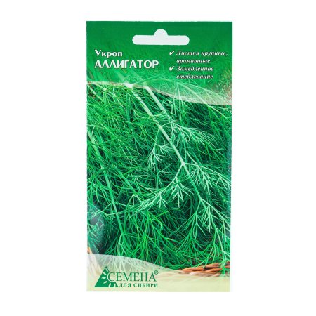 Семена укропа Аллигатор  Семена для Сибири 1г