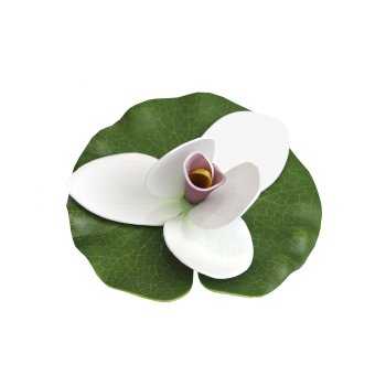 Цветок водоплавающий ДоброСад Кувшинка Экзотик 15см белый