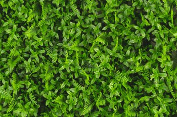 Покрытие 60х40см зеленый