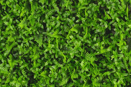 Покрытие 60х40см зеленый