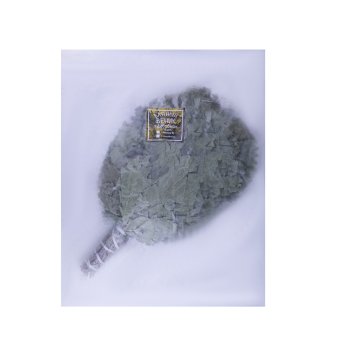 Веник банный дубовый, Дуб Веник Стандарт