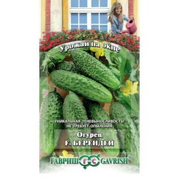 Семена огурца Берендей F1 Гавриш