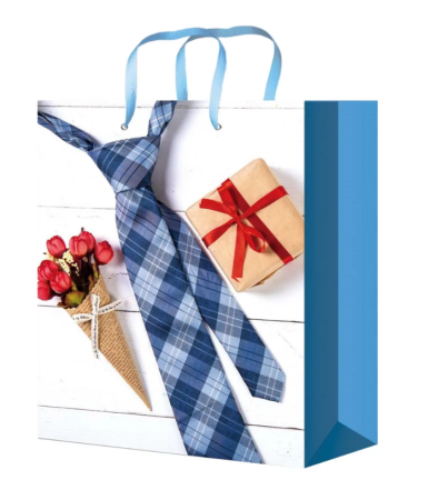 Пакет подарочный  Стильный галстук 23х18х10см голубой