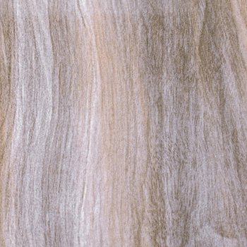 Плитка настенная Esprit, Wood, 50х25х0,9 см