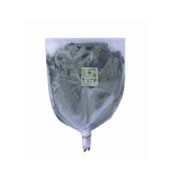 Веник банный кленовый, Дуб Веник Премиум