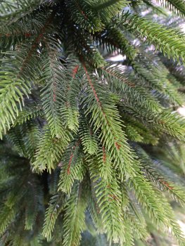 Искусственная елка литая 180 см LITA зеленый