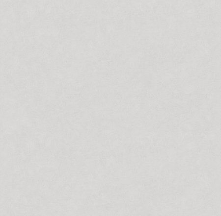 Обои флизелиновые Victoria Stenova  Magnolia 585111