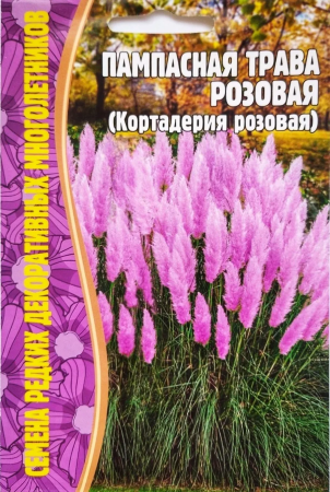 Семена Пампасной травы  Розовая Семена для Сибири