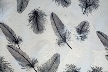 Клеенка силикон Перья серебро/прозрачный фон 0,8м