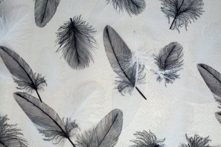 Клеенка силикон Перья серебро/прозрачный фон 0,8м