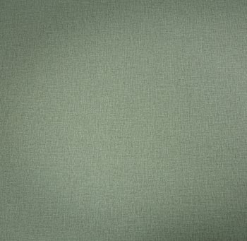 Обои флизелиновые Палитра TREND Nature TC72460-77