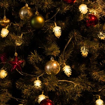 Гирлянда для дома фигурная Шишки 2,8м белый теплый 20 LED ламп прозрачный провод