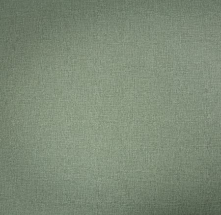 Обои флизелиновые Палитра TREND Nature TC72460-77