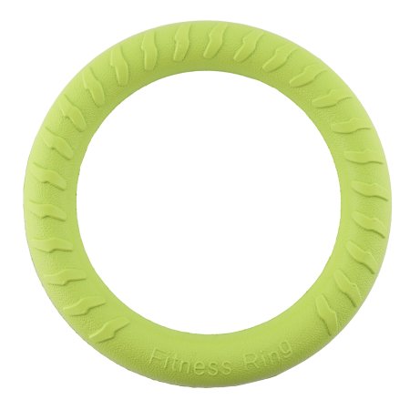 Игрушка для собак Кольцо 20см Ø20см