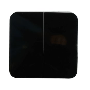 Выключатель накладной STEKKER София 2 кл. черный, арт. 49293