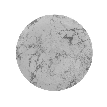 Тарелка обеденная ТЕКТУМ 25 см