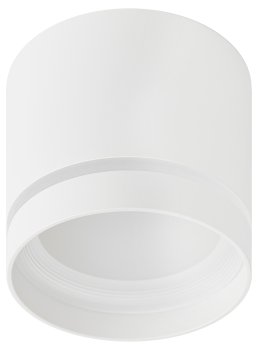 Спот ЭРА OL9 накладной неповоротный GX53 цвет белый