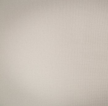 Обои флизелиновые Палитра TREND Nature TC72460-22