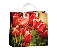 Пакет подарочный  081BAM 30х30х10см красный/зеленый